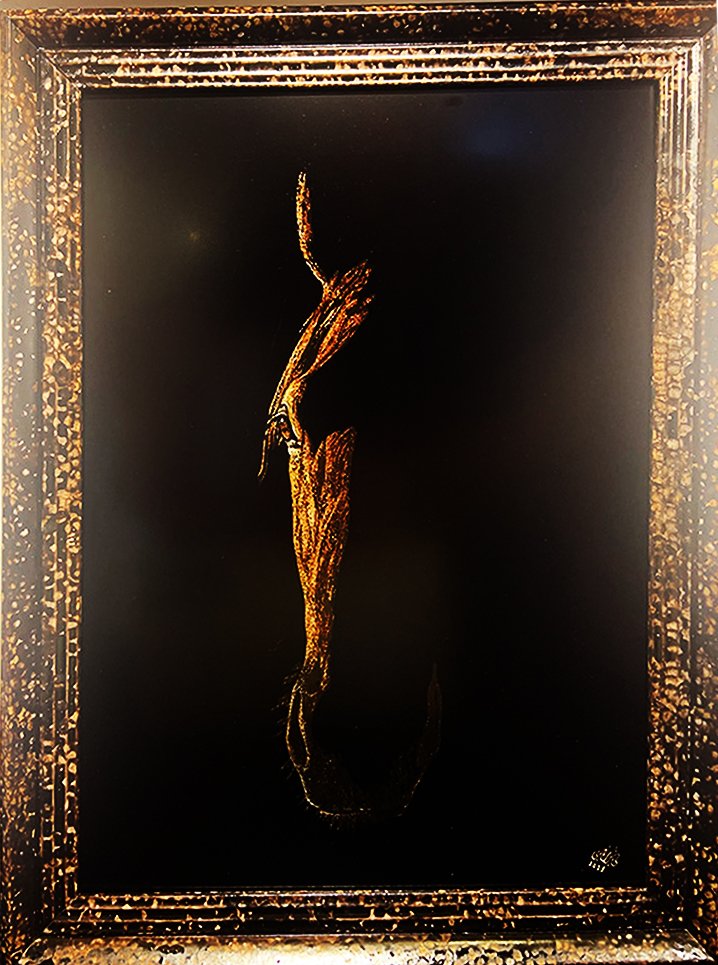 Horse in Shadow Horse in Shadow